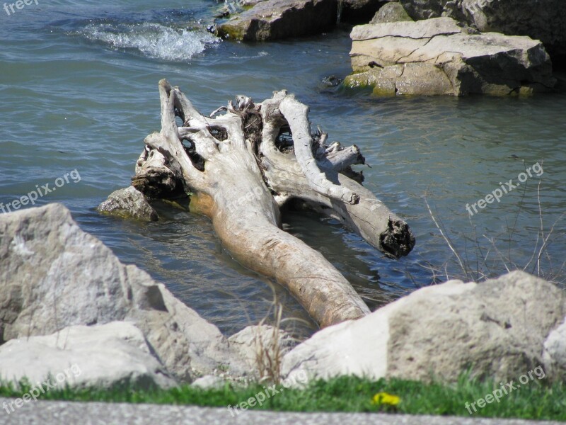 Canada River Stones Driftwood Water