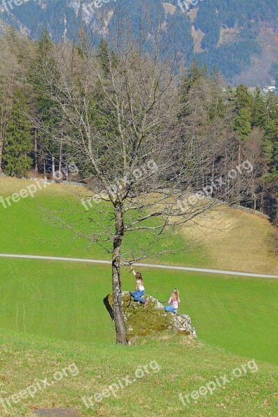 Landscape Tree Reported Nature Out