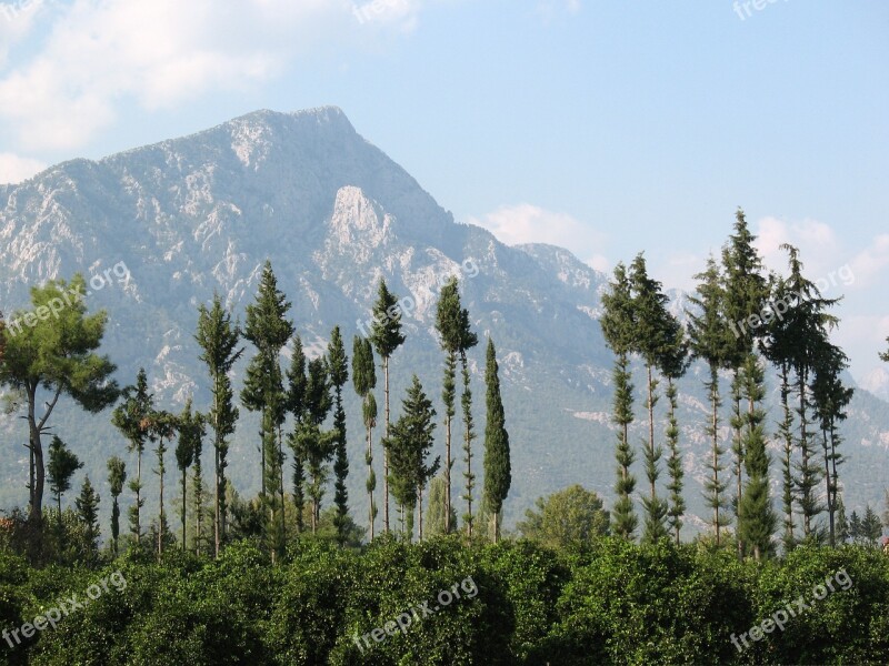 Turkey Mountains Trees Nature Journey