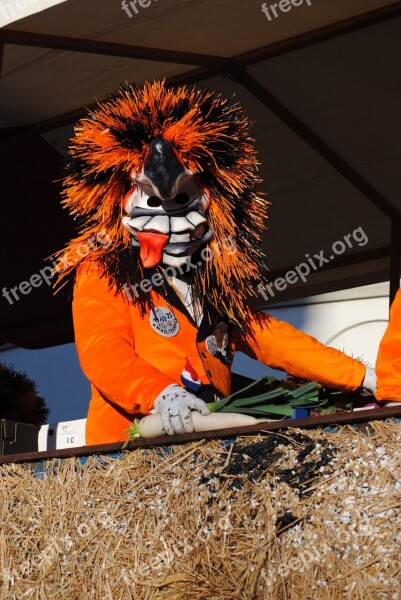 Mask Waggis Carnival Basler Fasnacht 2015 Free Photos