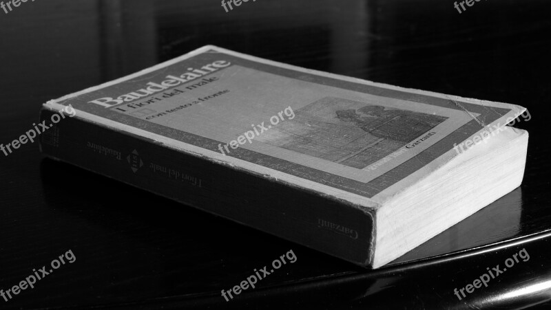 Book White Black Literature Free Photos