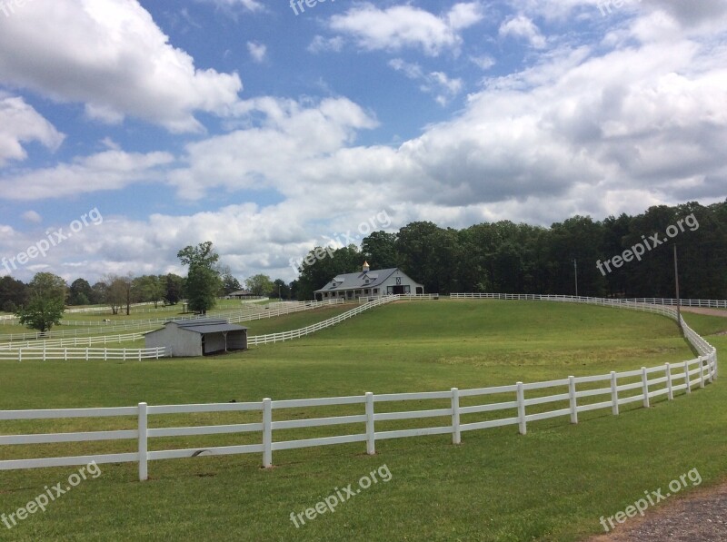 Pasture Horses Farm Ranch Countryside