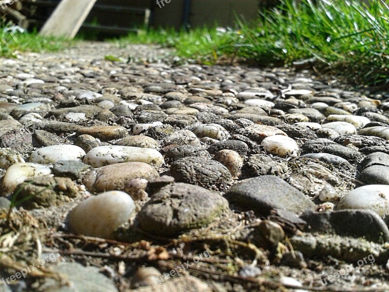 Stones Away Grass Rush Garden