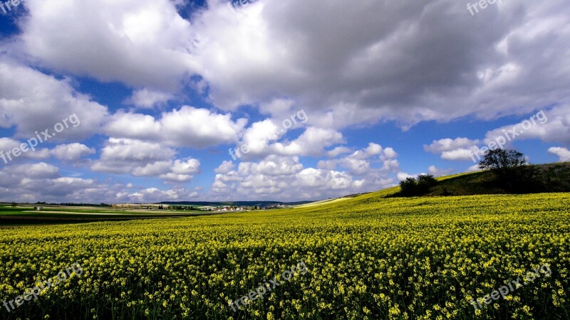 Oilseed Rape Field Of Rapeseeds Free Photos