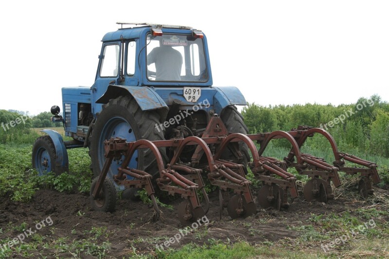 Tractor Technique Vegetable Garden Transport Farmer