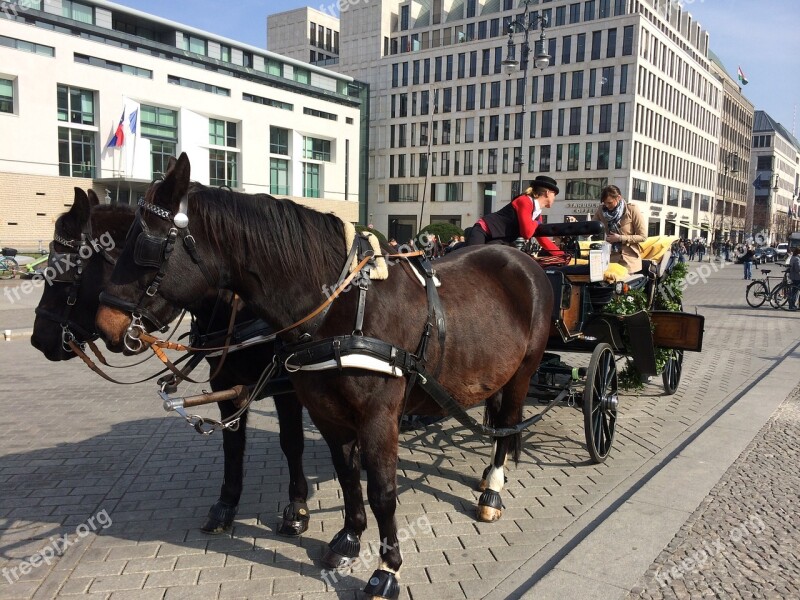 Horse Berlin Germany Landmark Brandenburg