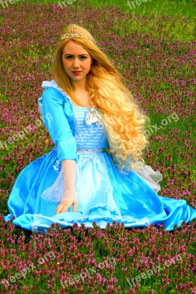 Girl Princess Blond Hair Dress Story