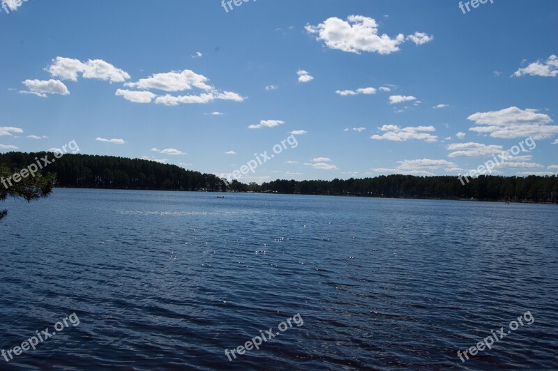 Summer The Siberian Lake Western Siberia Blue Lake In The Pine Forest Russia