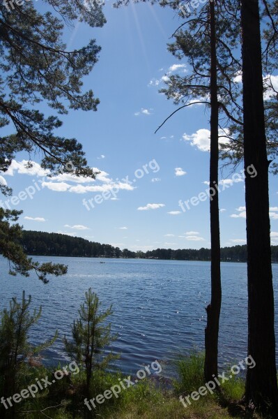 Summer The Siberian Lake Western Siberia Blue Lake In The Pine Forest Russia