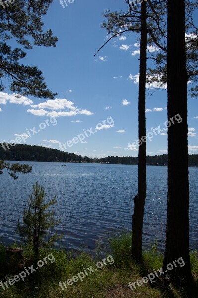 Summer The Siberian Lake Western Siberia Blue Lake In The Pine Forest Russia