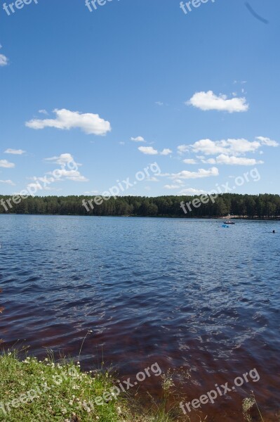 Summer The Siberian Lake Western Siberia Blue Lake In The Pine Forest Russia