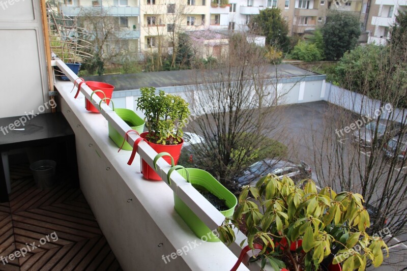 Balcony Flowerpot Flower Parking Balcony Plant