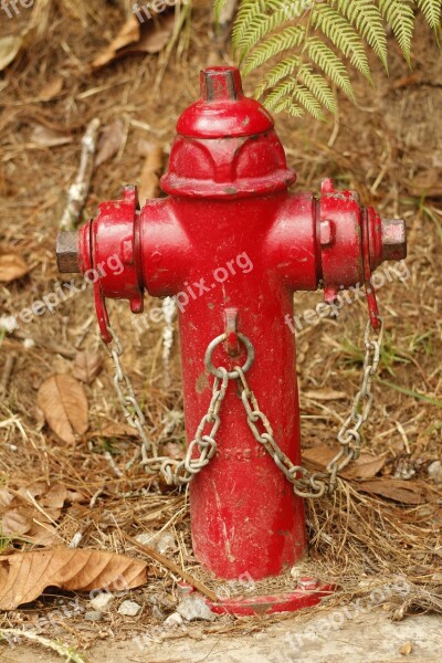 Fire Hydrant Water Red Firefighter Free Photos