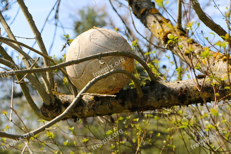 Nature Football Conflict Human Influence