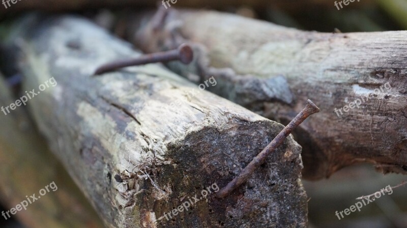 Wood Nails Macro Rusty Free Photos