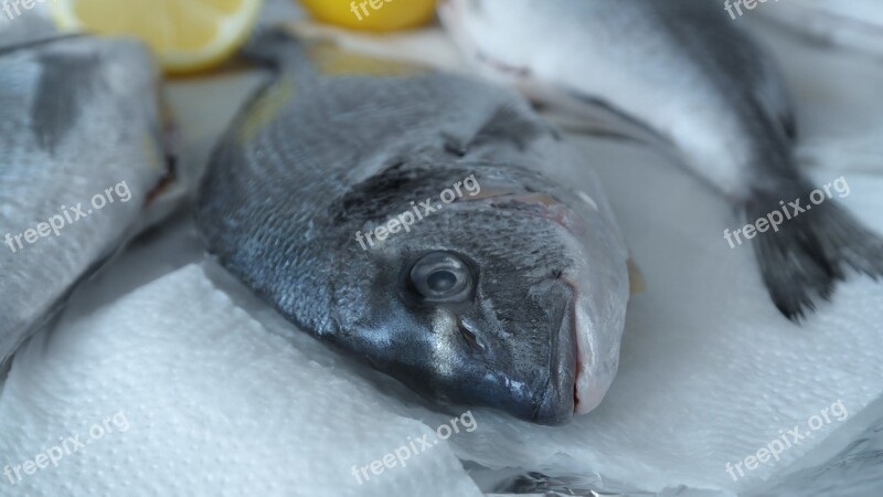 Sea Bream Fish Raw Lemon Food