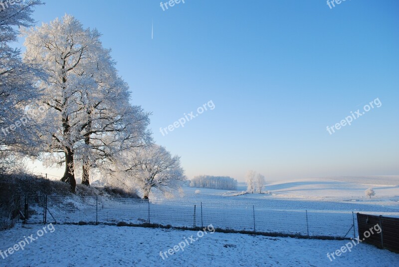 Nature Ice Tree Winter Gel