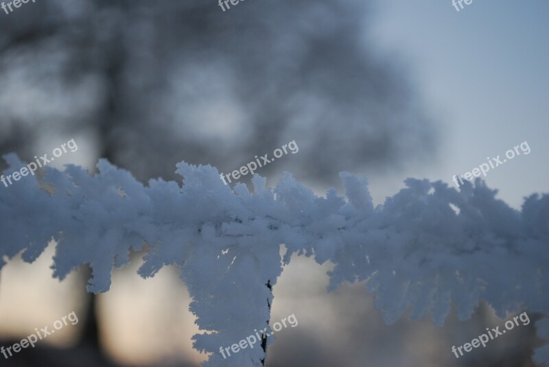 Ice Frost Ice Crystals Free Photos