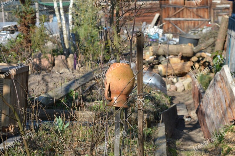 Courtyard Pitcher Garden Wild Abandoned