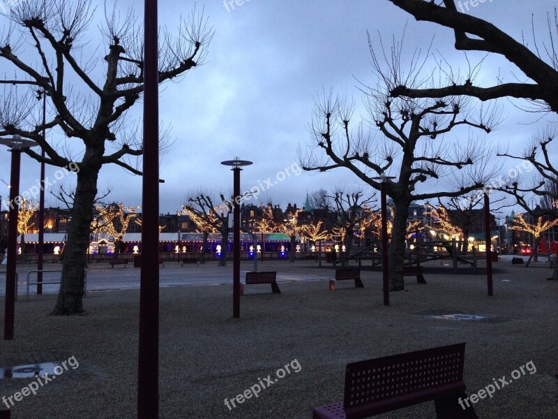 Amsterdam Netherlands Evening Winter Trees