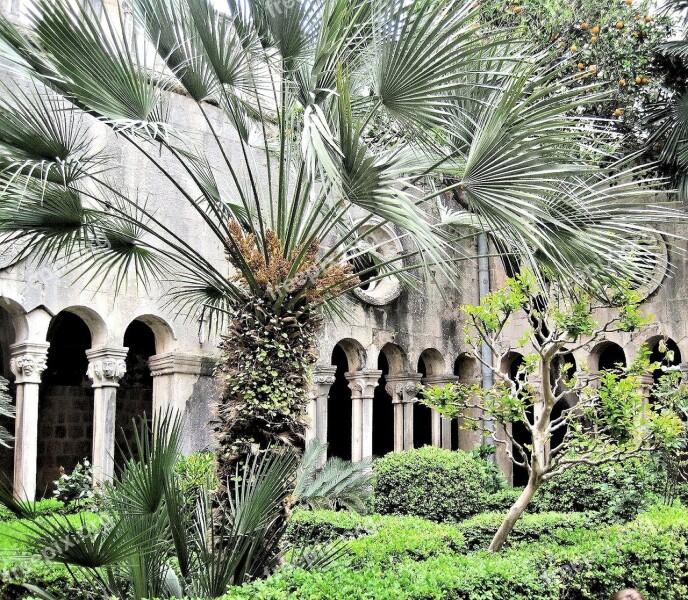 Dubrovnic Croatia Court Yard Garden Arches Outdoors Palm Trees