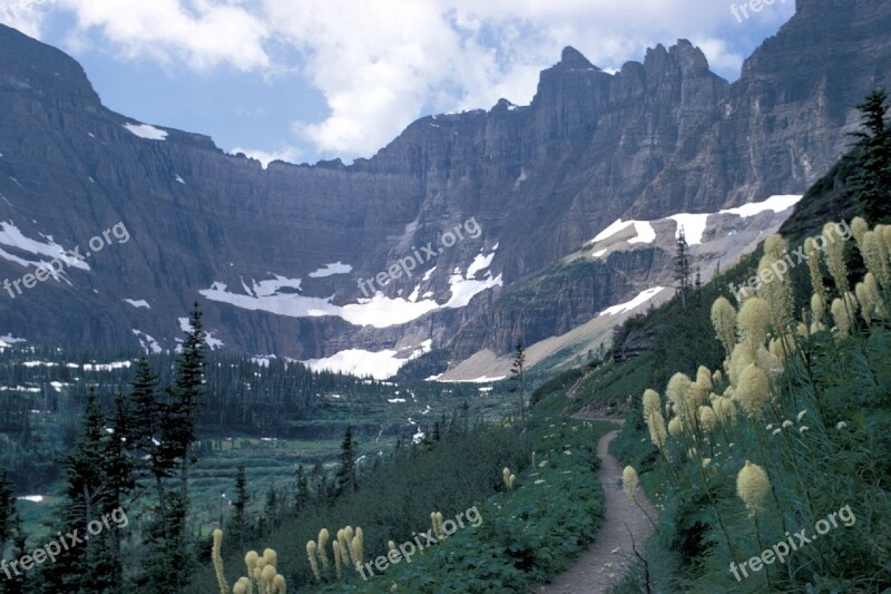 Mountains Bear Grass Glacier National Park