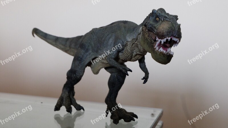 Toy Dinosaur T-rex Free Photos