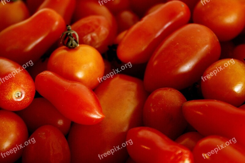 Tomato Red Orange Vegetable Organic