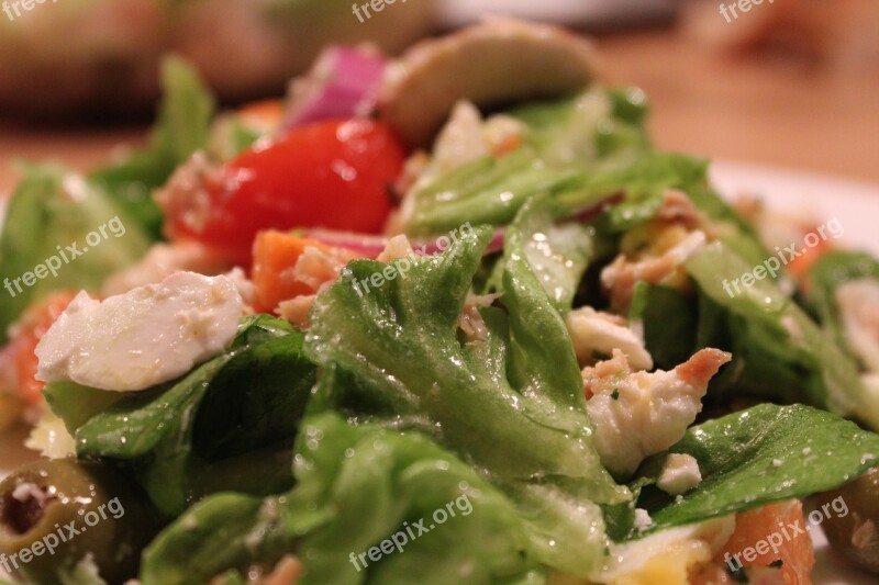 Salad Eat Food Free Photos