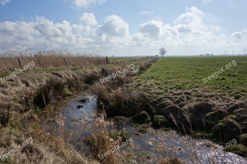 Dig Water Pasture Reed Clouds