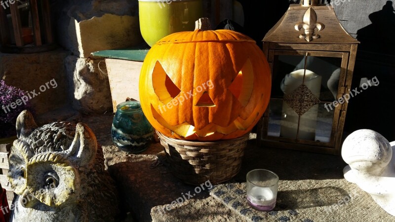 Halloween Pumpkin October Autumn Orange