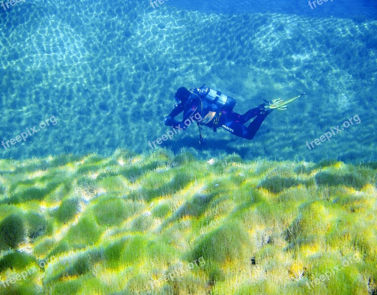 Diving Divers Underwater Water Float