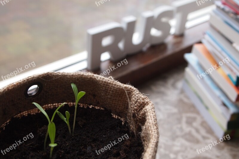 Window Sill Plants Grow Jute Books