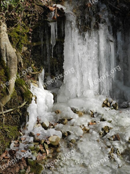 Icicle Frozen Cold Icy Winter