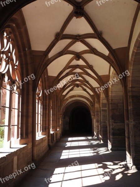 Cloister Basel Cathedral Münster Basel Church