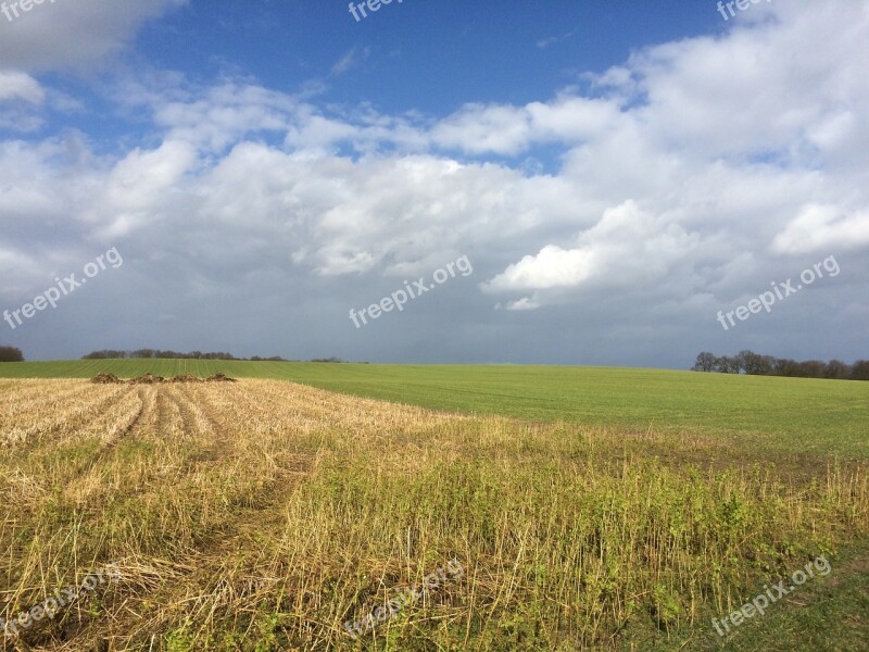 Land Field Agriculture Landscape Nature