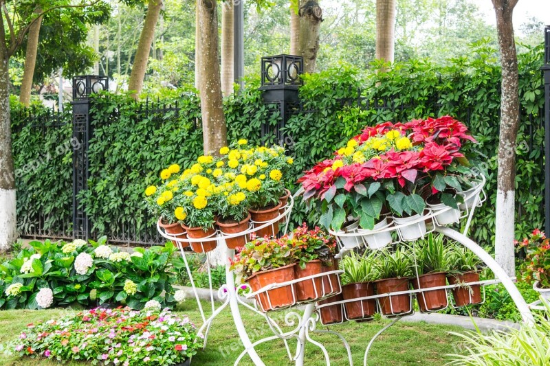 Garden Flower Landscaping Thailand Path