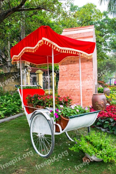 Garden Flower Landscaping Thailand Path