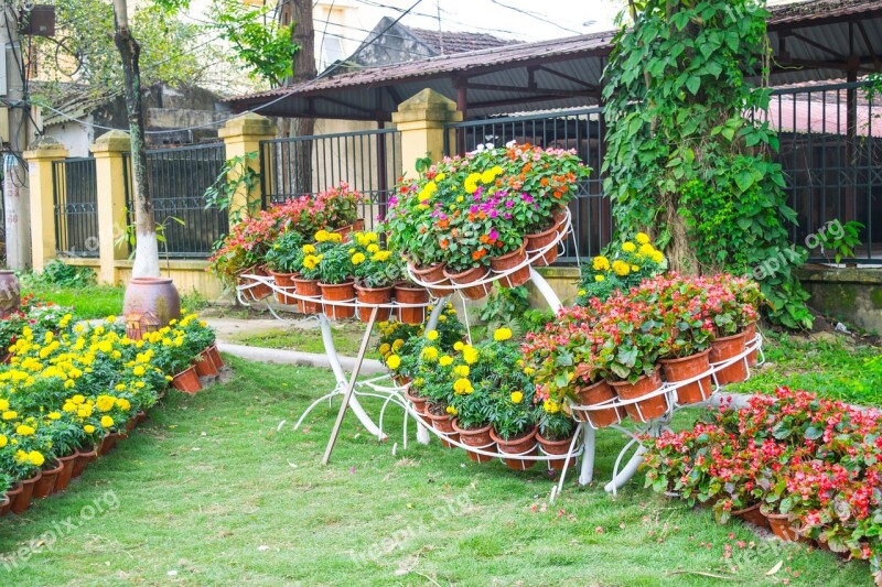 Garden Flower Landscaping Thailand Path