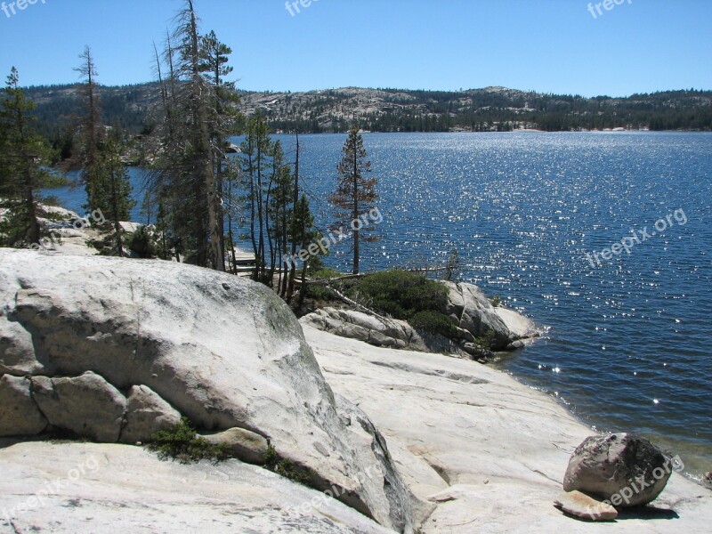 Lake Mountain Pine Tree Shore Free Photos