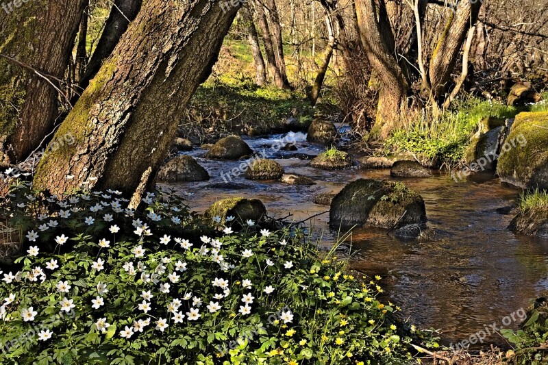 Narvau Gorge Morvan Nièvre Water Courses River