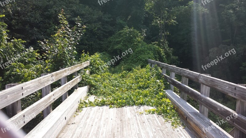 Wood Bridge Vermont Intervale Footbridge