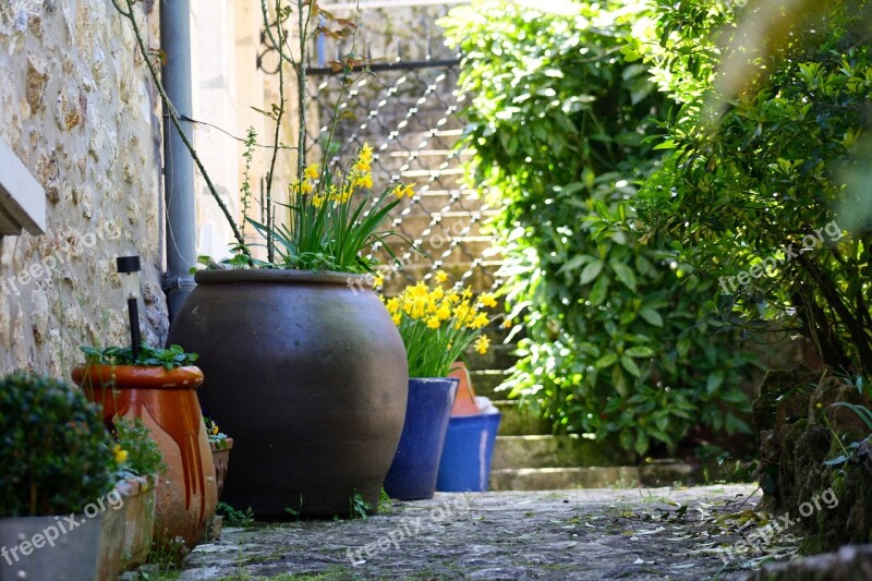 Courtyard Pots Courtyard Garden Plant Pots Shady Courtyard Free Photos