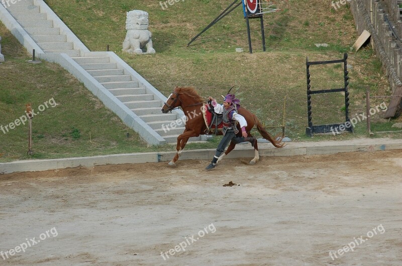 Dressage Army Gallery Republic Of Korea Stunts