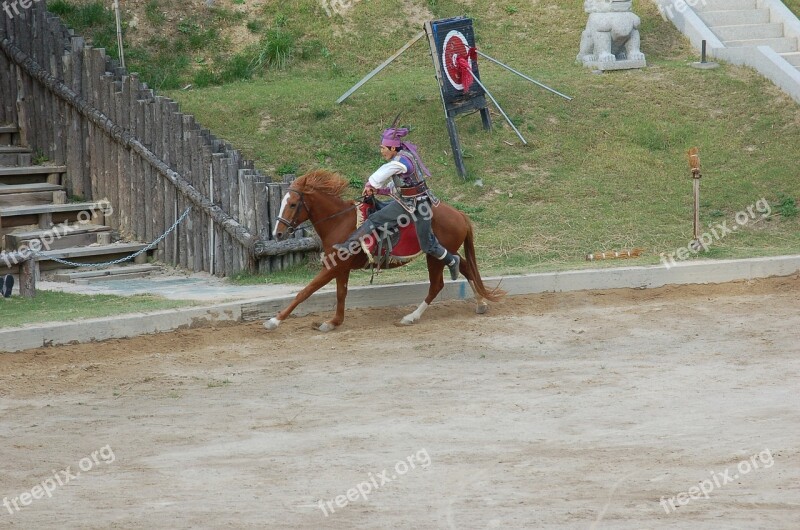 Dressage Horse Stunts Gallery Republic Of Korea