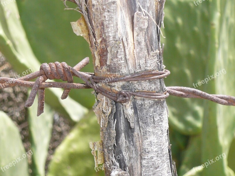 Barbed Wire Fence Limit Stop Caught