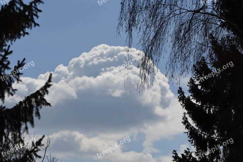 Clouds Blue Sky Trees Silhouettes Background Image