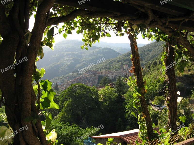 Italy Hill Town Vine Liguria Village