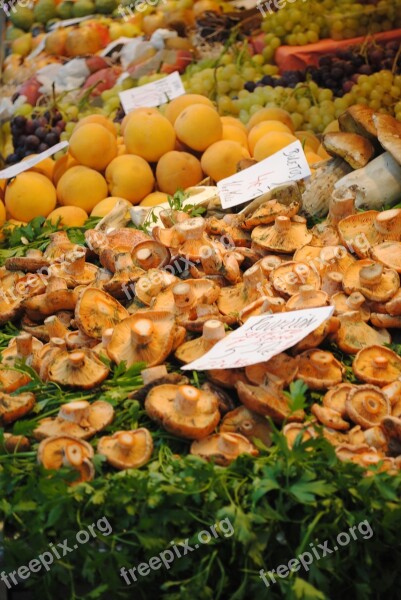 Indoor Market Valencia Food Market Spain Mushrooms