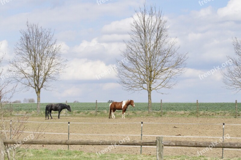 Coupling Paddock Reiterhof Hof Farm